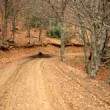 Rutas - Llegando_al_Calero_de_Brañosera Rutas - Llegando_al_Calero_de_Brañosera
